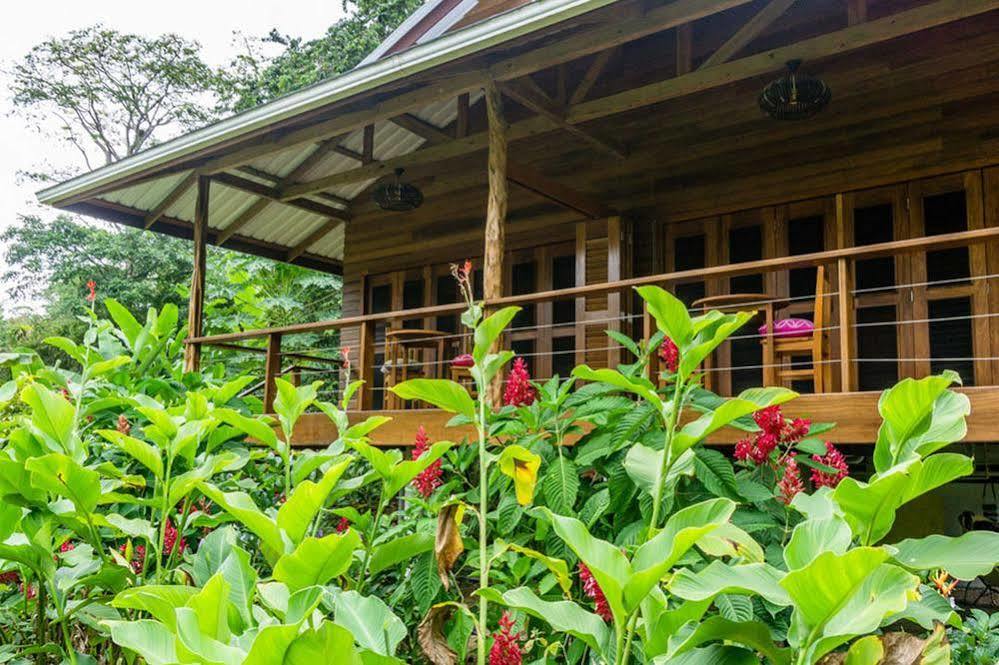 The Hummingbird Hotel Bocas Town Exterior foto